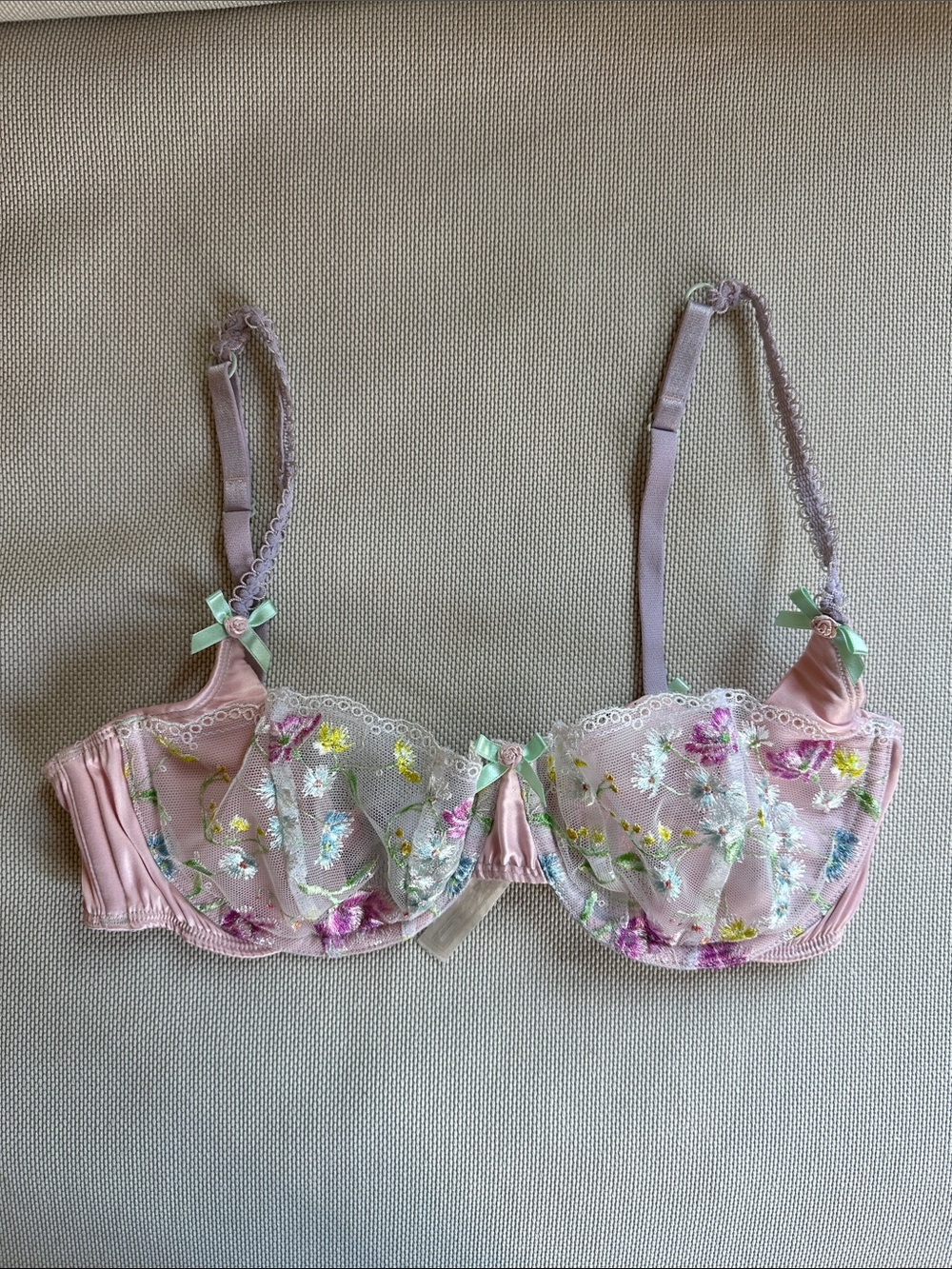 For Love & Lemons Pink Sheer Floral Embroidered Underwire Bra